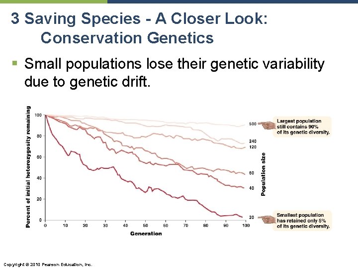 3 Saving Species - A Closer Look: Conservation Genetics § Small populations lose their