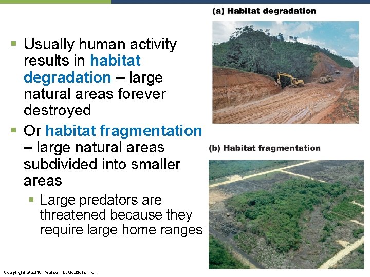 § Usually human activity results in habitat degradation – large natural areas forever destroyed