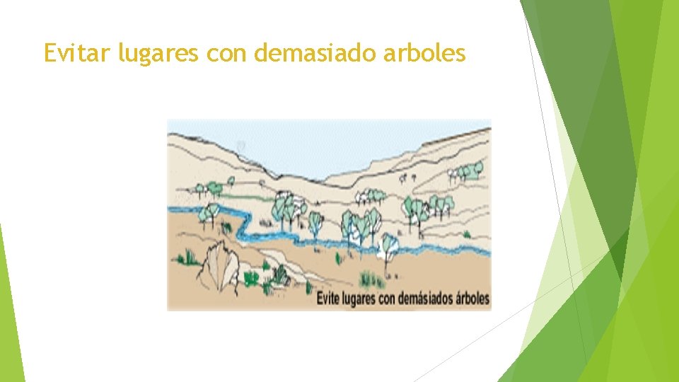 Evitar lugares con demasiado arboles 