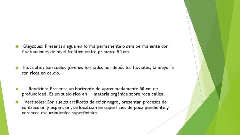  Gleysoles: Presentan agua en forma permanente o semipermanente con fluctuaciones de nivel freático