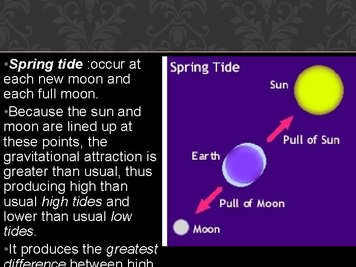  • Spring tide : occur at each new moon and each full moon.