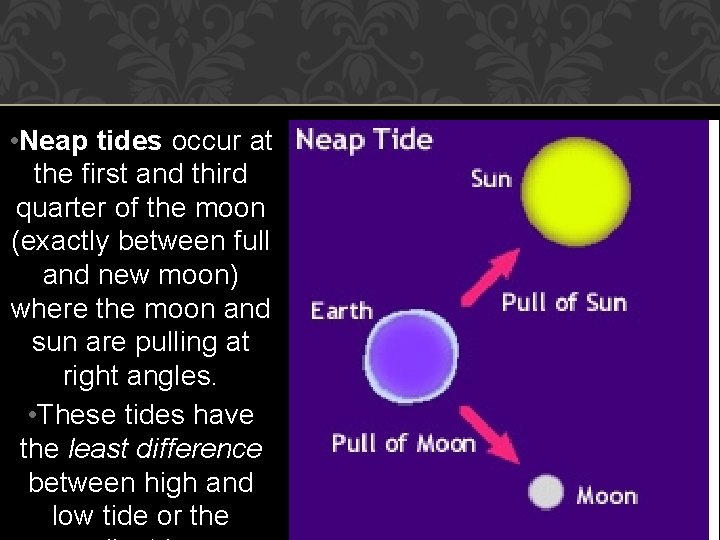  • Neap tides occur at the first and third quarter of the moon