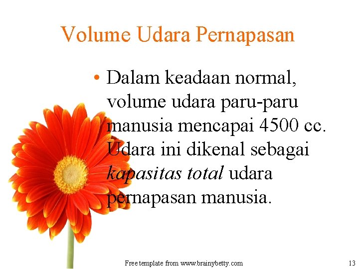 Volume Udara Pernapasan • Dalam keadaan normal, volume udara paru-paru manusia mencapai 4500 cc.