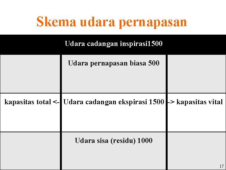 Skema udara pernapasan Udara cadangan inspirasi 1500 Udara pernapasan biasa 500 kapasitas total <-