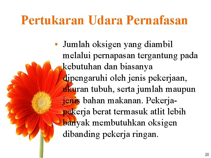 Pertukaran Udara Pernafasan • Jumlah oksigen yang diambil melalui pernapasan tergantung pada kebutuhan dan