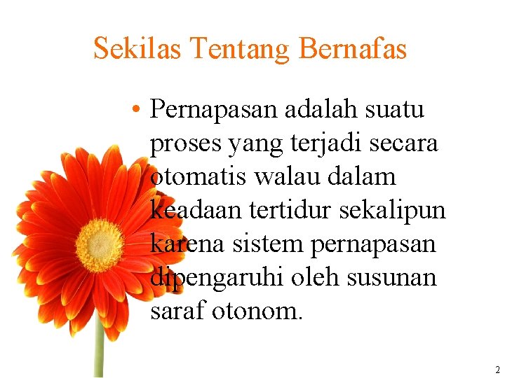 Sekilas Tentang Bernafas • Pernapasan adalah suatu proses yang terjadi secara otomatis walau dalam