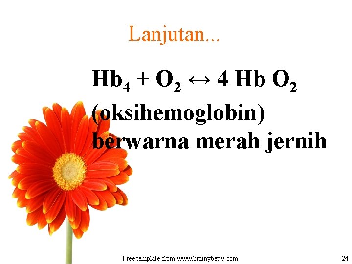 Lanjutan. . . Hb 4 + O 2 ↔ 4 Hb O 2 (oksihemoglobin)