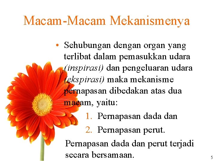 Macam-Macam Mekanismenya • Sehubungan dengan organ yang terlibat dalam pemasukkan udara (inspirasi) dan pengeluaran