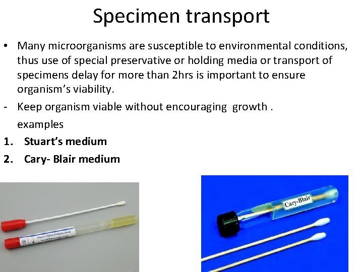 Specimen transport • Many microorganisms are susceptible to environmental conditions, thus use of special