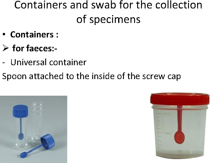 Containers and swab for the collection of specimens • Containers : Ø for faeces: