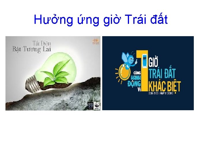 Hưởng ứng giờ Trái đất 