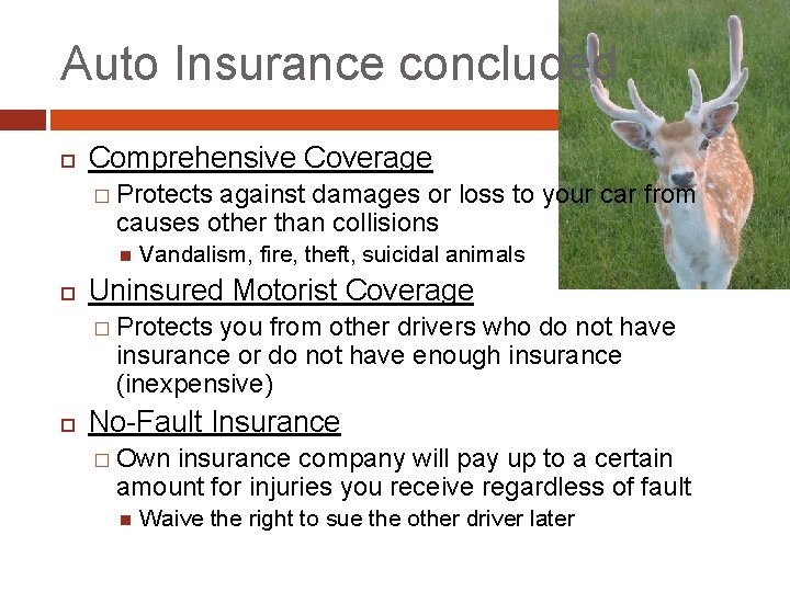 Auto Insurance concluded Comprehensive Coverage � Protects against damages or loss to your car