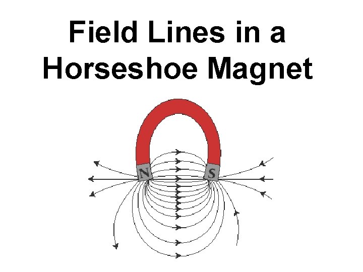 Field Lines in a Horseshoe Magnet 