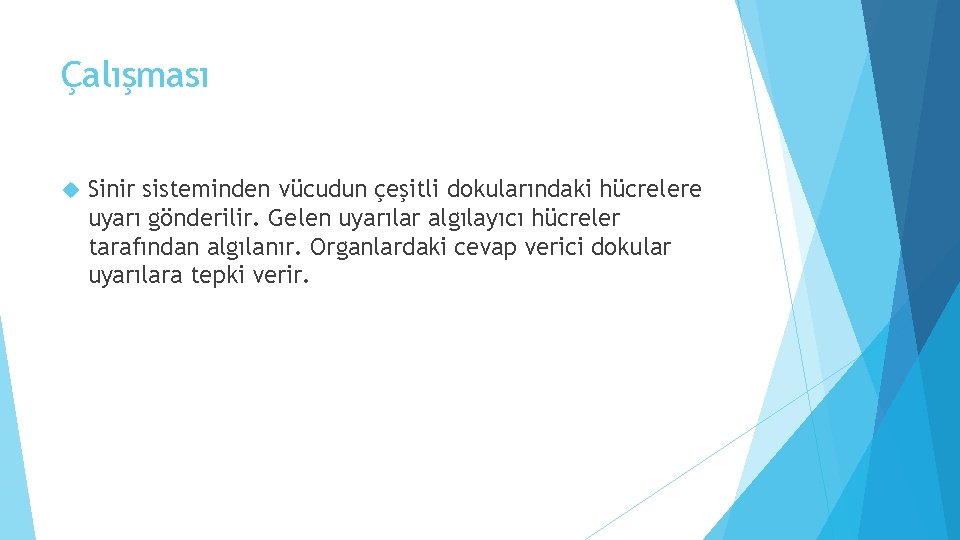 Çalışması Sinir sisteminden vücudun çeşitli dokularındaki hücrelere uyarı gönderilir. Gelen uyarılar algılayıcı hücreler tarafından