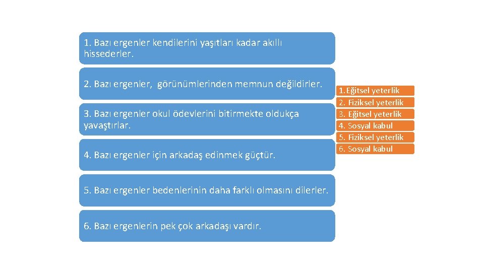 1. Bazı ergenler kendilerini yaşıtları kadar akıllı hissederler. 2. Bazı ergenler, görünümlerinden memnun değildirler.