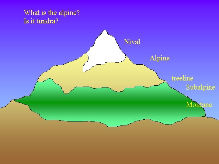 What is the alpine? Is it tundra? Nival Alpine treeline Subalpine Montane 