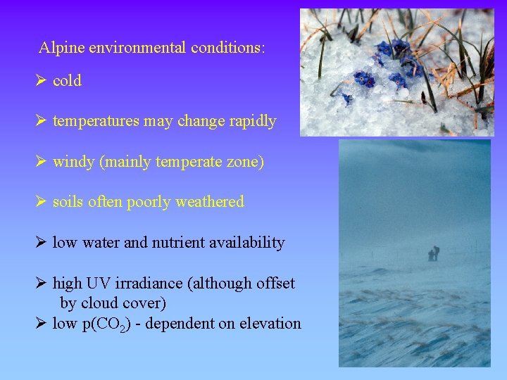 Alpine environmental conditions: Ø cold Ø temperatures may change rapidly Ø windy (mainly temperate