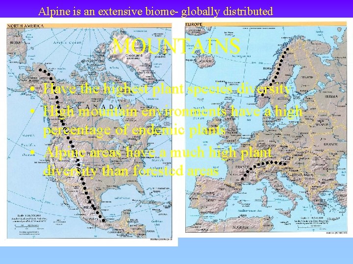 Alpine is an extensive biome- globally distributed MOUNTAINS • Have the highest plant species