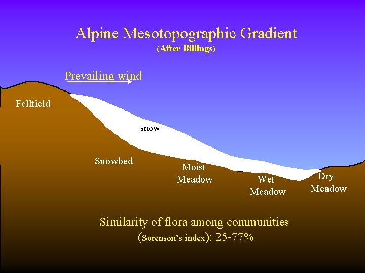 Alpine Mesotopographic Gradient (After Billings) Prevailing wind Fellfield snow Snowbed Moist Meadow Wet Meadow