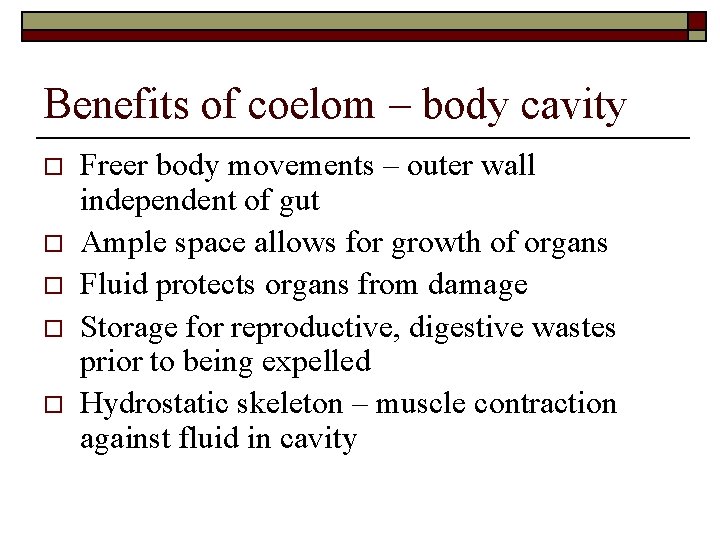 Benefits of coelom – body cavity o o o Freer body movements – outer