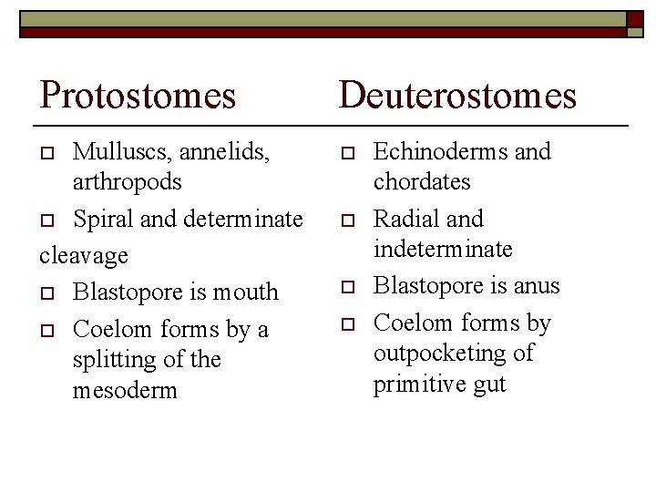 Protostomes Deuterostomes Mulluscs, annelids, arthropods o Spiral and determinate cleavage o Blastopore is mouth