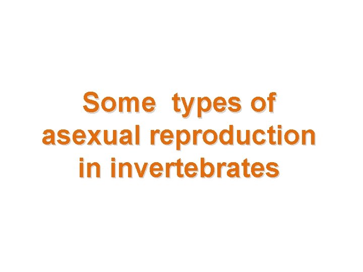 Some types of asexual reproduction in invertebrates 