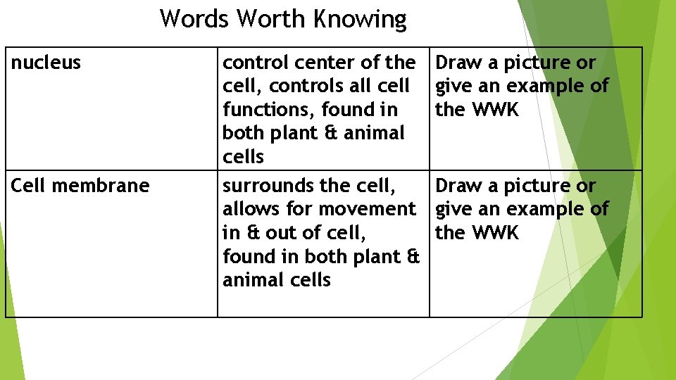 Words Worth Knowing nucleus Cell membrane control center of the cell, controls all cell