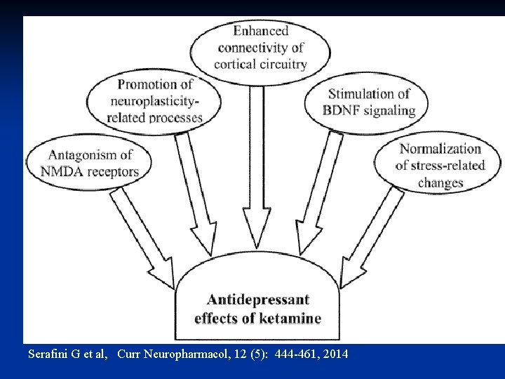 Serafini G et al, Curr Neuropharmacol, 12 (5): 444 -461, 2014 