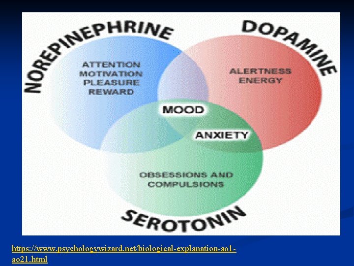 https: //www. psychologywizard. net/biological-explanation-ao 1 ao 21. html 