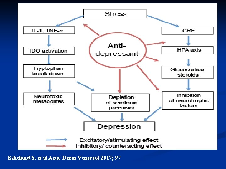 Eskeland S. et al Acta Derm Venereol 2017; 97 