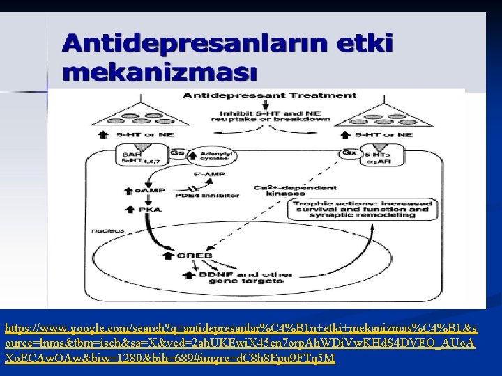 https: //www. google. com/search? q=antidepresanlar%C 4%B 1 n+etki+mekanizmas%C 4%B 1&s ource=lnms&tbm=isch&sa=X&ved=2 ah. UKEwi. X