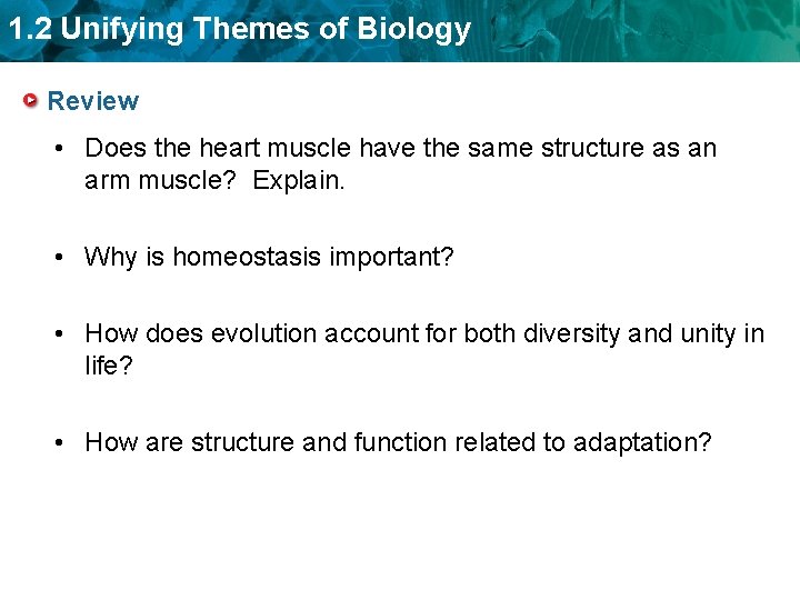 1. 2 Unifying Themes of Biology Review • Does the heart muscle have the