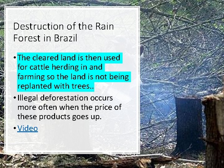 Destruction of the Rain Forest in Brazil • The cleared land is then used