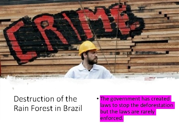 Destruction of the Rain Forest in Brazil • The government has created laws to