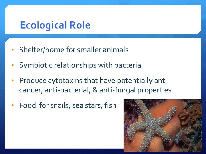 Ecological Role • Shelter/home for smaller animals • Symbiotic relationships with bacteria • Produce
