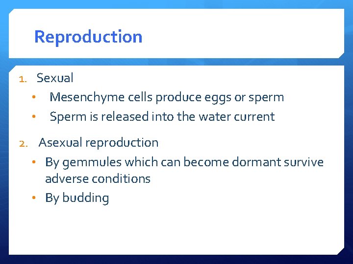 Reproduction 1. Sexual Mesenchyme cells produce eggs or sperm • Sperm is released into