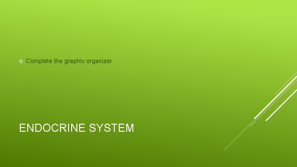  Complete the graphic organizer ENDOCRINE SYSTEM 