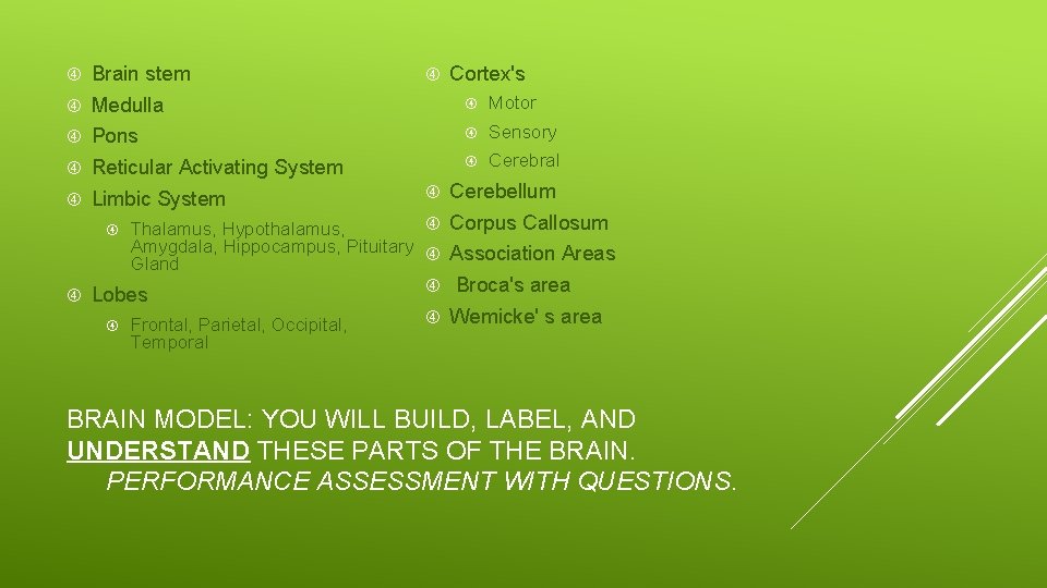  Brain stem Medulla Motor Pons Sensory Reticular Activating System Cerebral Limbic System Cortex's