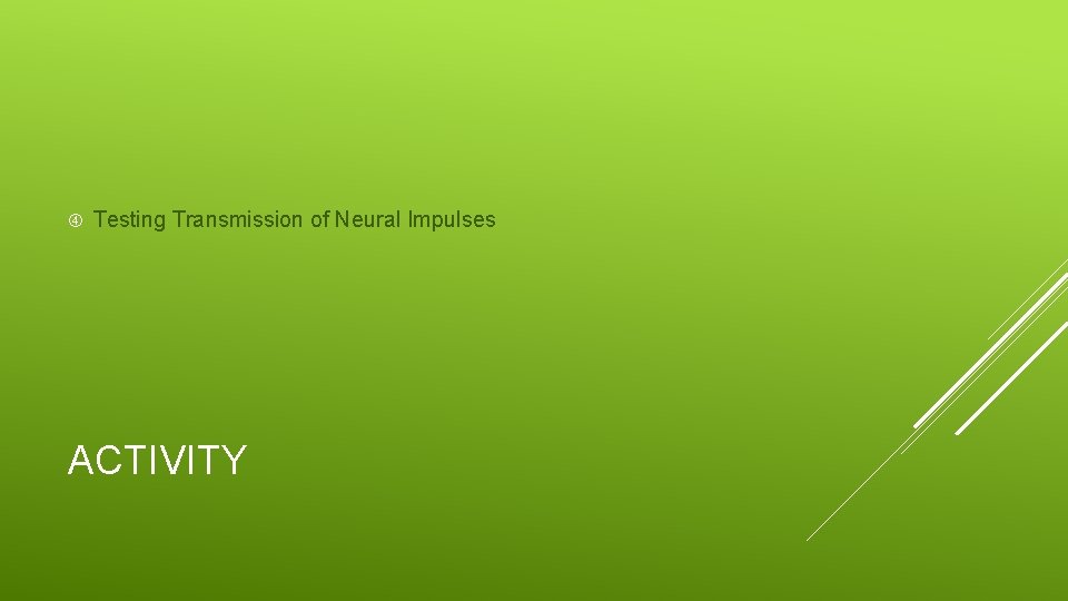  Testing Transmission of Neural Impulses ACTIVITY 