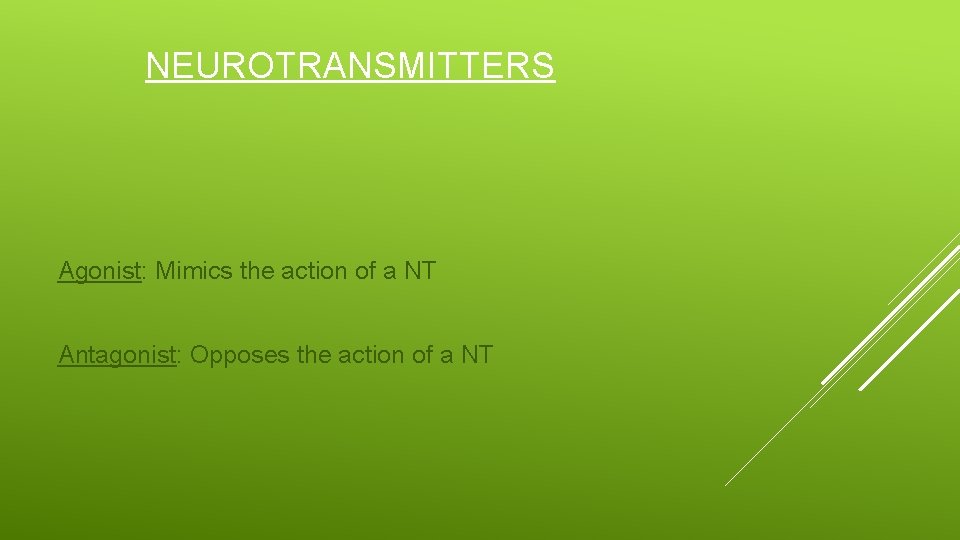NEUROTRANSMITTERS Agonist: Mimics the action of a NT Antagonist: Opposes the action of a