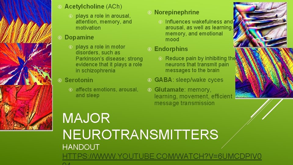 Acetylcholine (ACh) Influences wakefulness and arousal, as well as learning, memory, and emotional