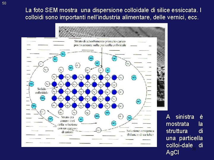 50 La foto SEM mostra una dispersione colloidale di silice essiccata. I colloidi sono