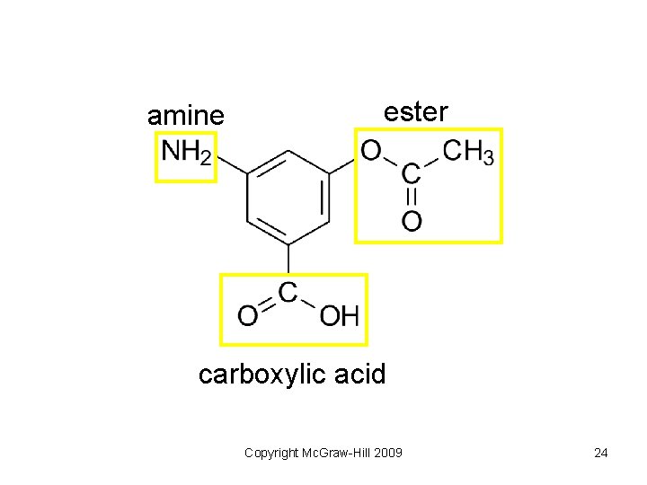 amine ester carboxylic acid Copyright Mc. Graw-Hill 2009 24 