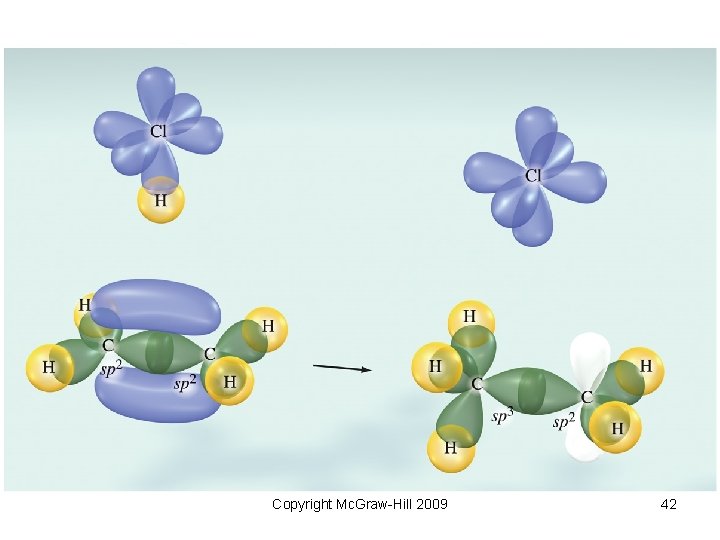 Text Figure 1038 Copyright Mc. Graw-Hill 2009 42 