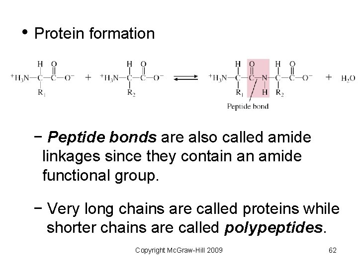  • Protein formation − Peptide bonds are also called amide linkages since they