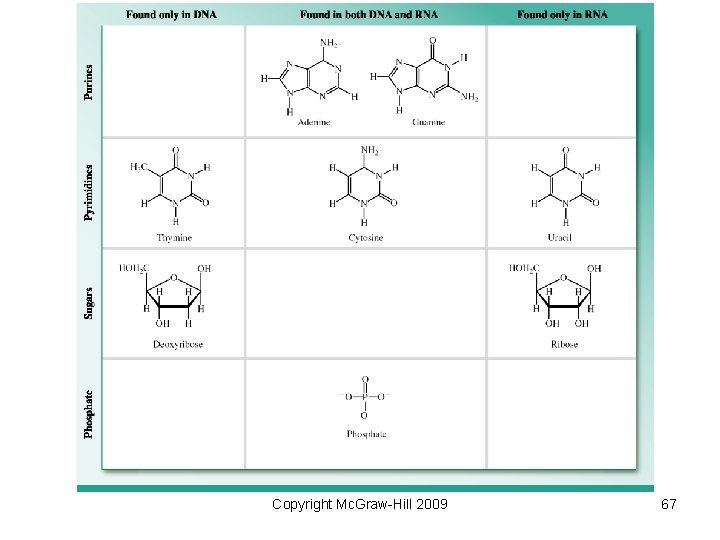 Copyright Mc. Graw-Hill 2009 67 