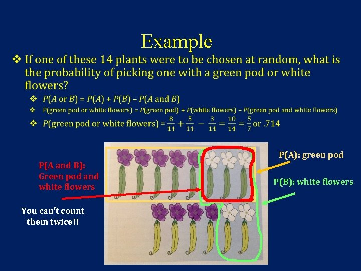 Example • P(A): green pod P(A and B): Green pod and white flowers You