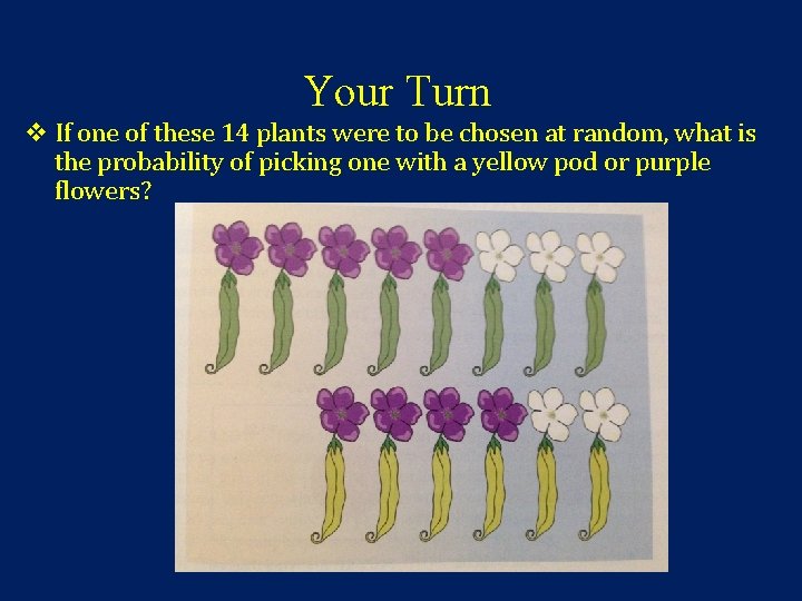 Your Turn v If one of these 14 plants were to be chosen at