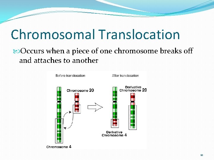 Chromosomal Translocation Occurs when a piece of one chromosome breaks off and attaches to
