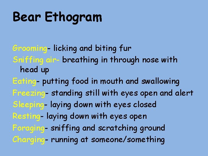 Bear Ethogram Grooming- licking and biting fur Sniffing air- breathing in through nose with